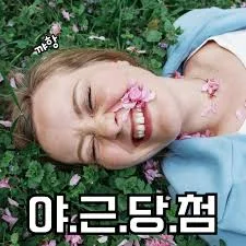 다운로드.jpeg