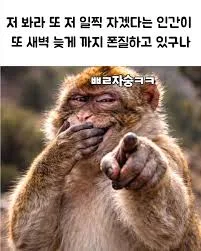 images.jpeg