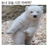 다운로드.jpeg