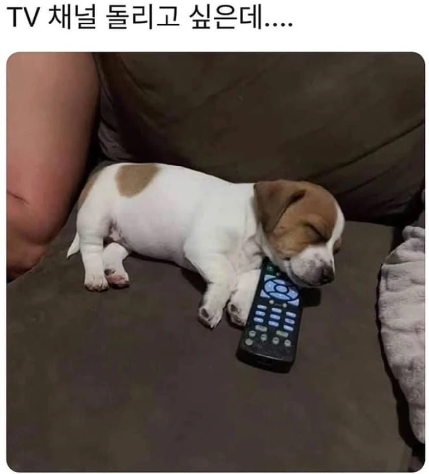 20260626090029_Xeck5ahtId.png