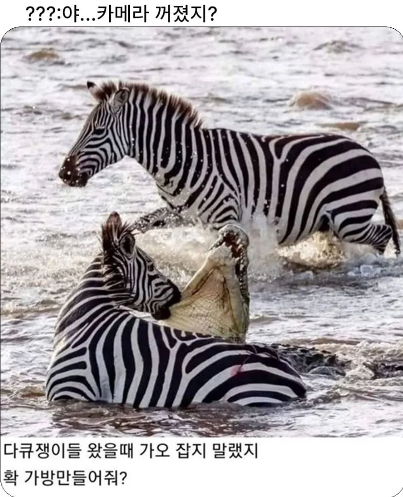 20260325133141_VEYSvMFjO7.png