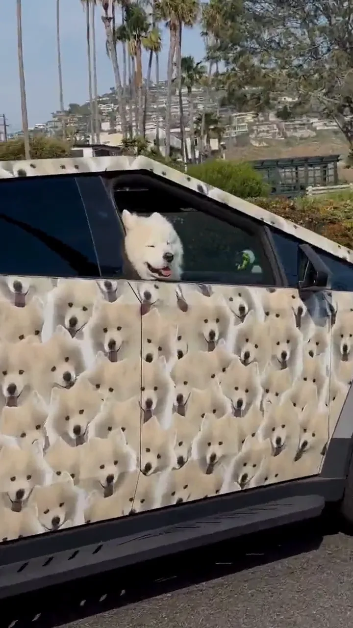 videoframe_4803.png