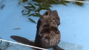 20260320102127_P2X6KWglue.webp