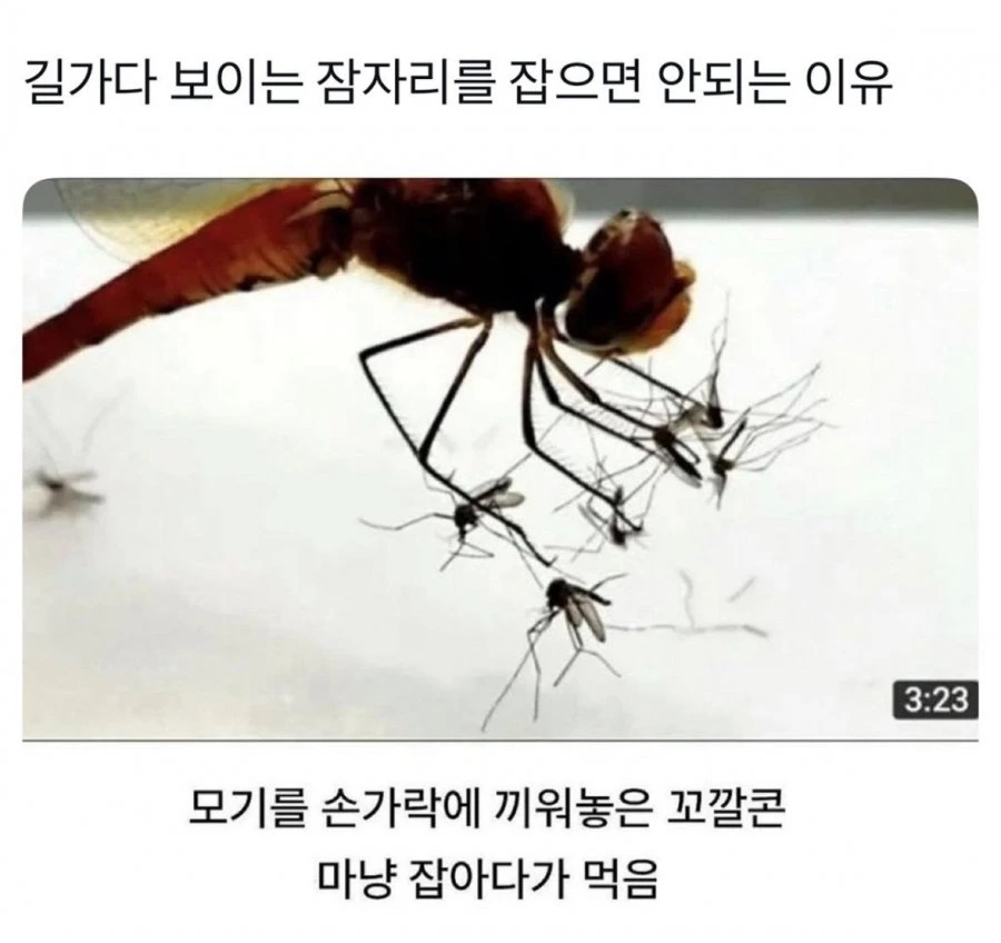 900w_20260618113516_ZdaE4eKGU0.jpg