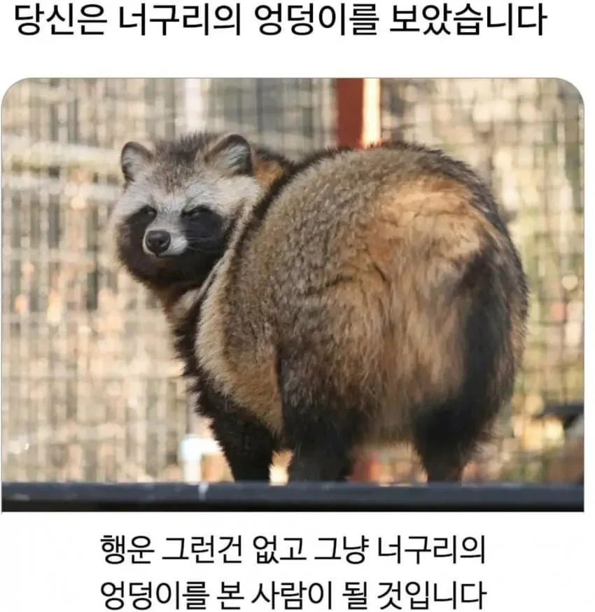 20260322235747_a7tgGTOoTi.webp