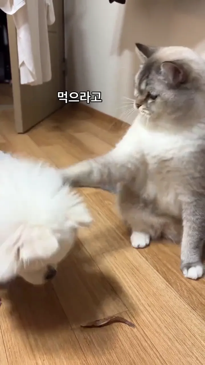 videoframe_18368.png