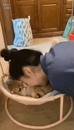 videoframe_3525.png