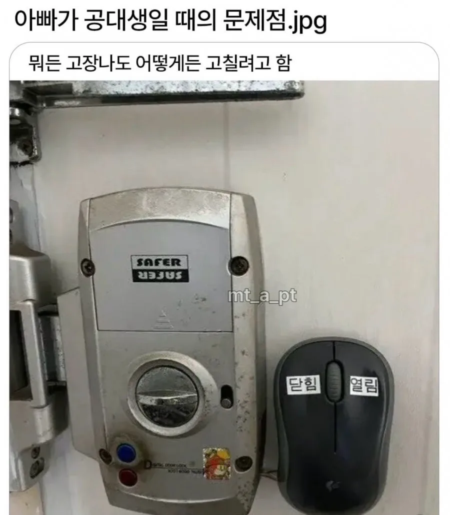 900w_20260309203051_u3xyznbtSX.jpg
