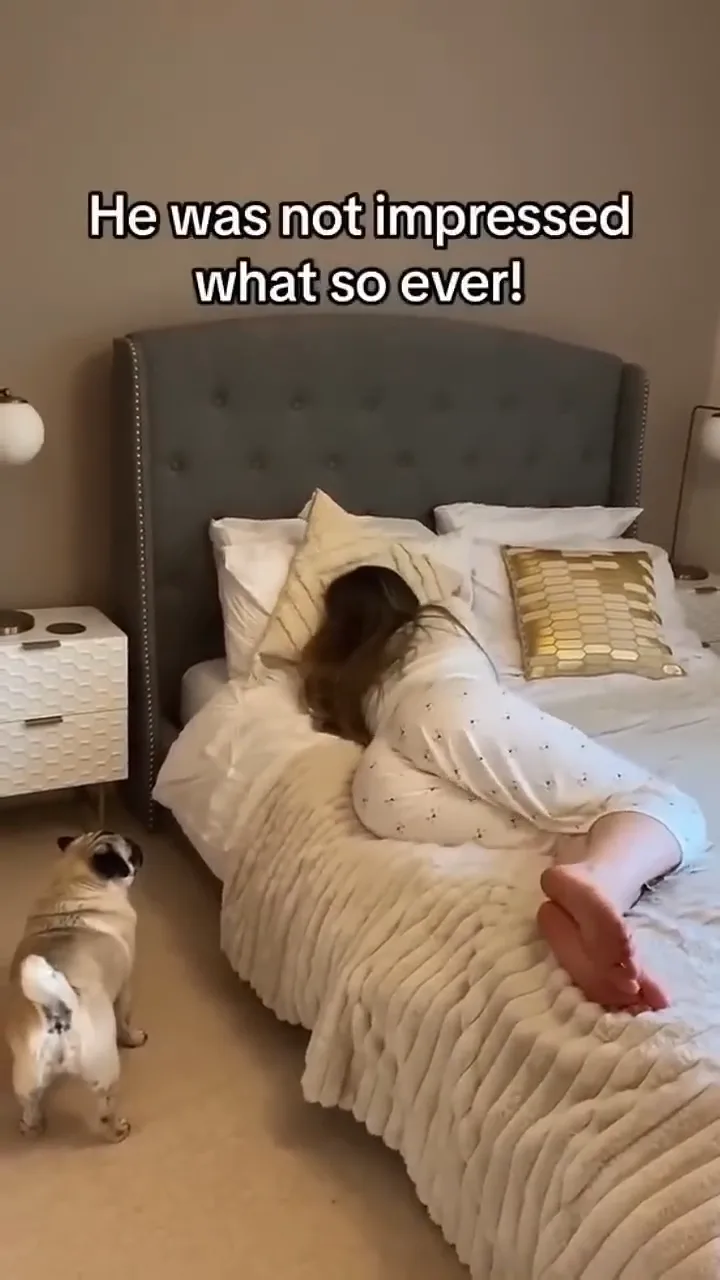 videoframe_3449.png