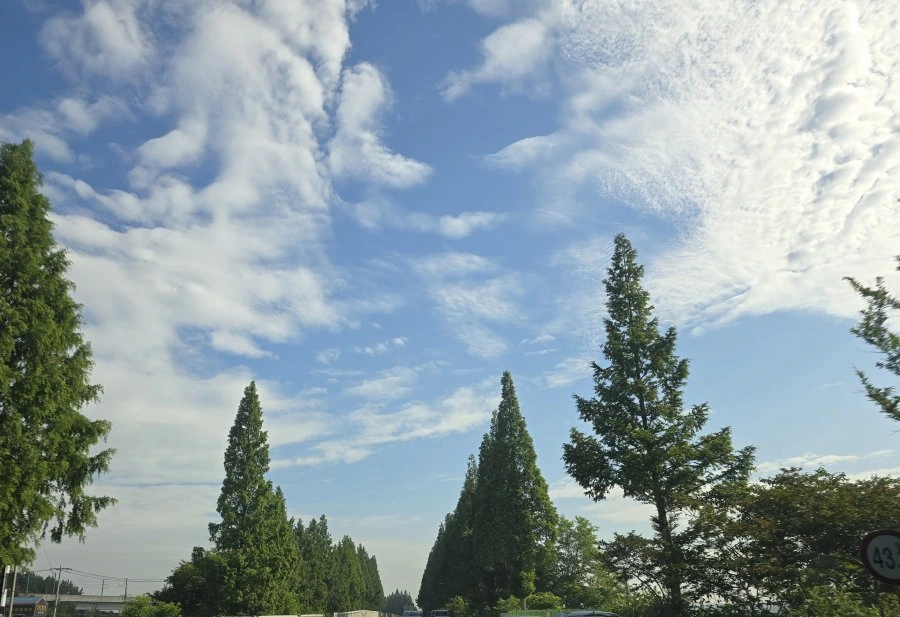 900w_20260617093834_pXMg0jfCdM.jpg