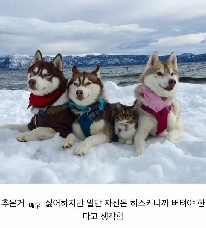 20260420094221_aW0yJxdMx1.png