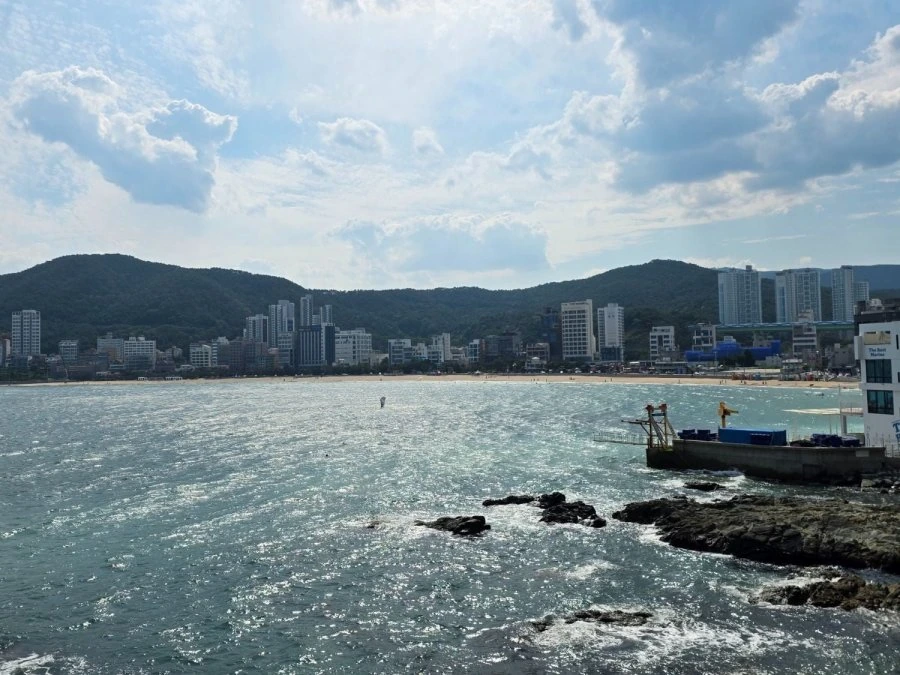 900w_20260612175757_9E17hAXuqQ.jpg