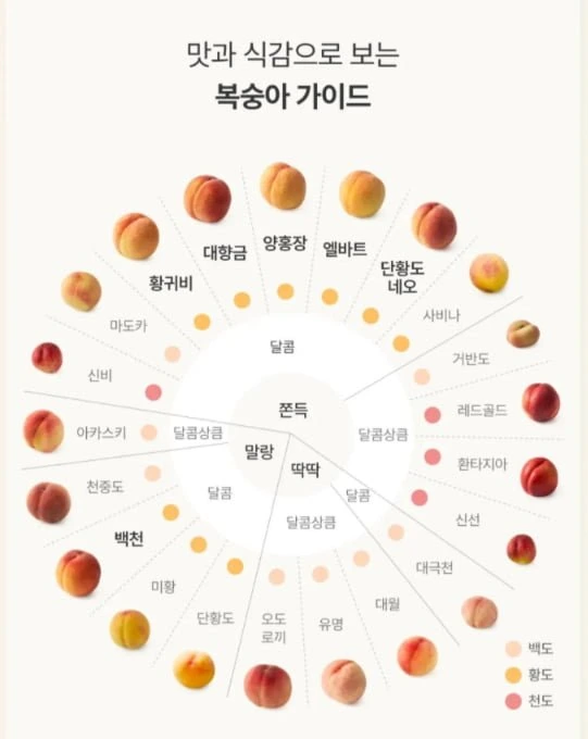 20260622104015_TgwpNC7ySk.png