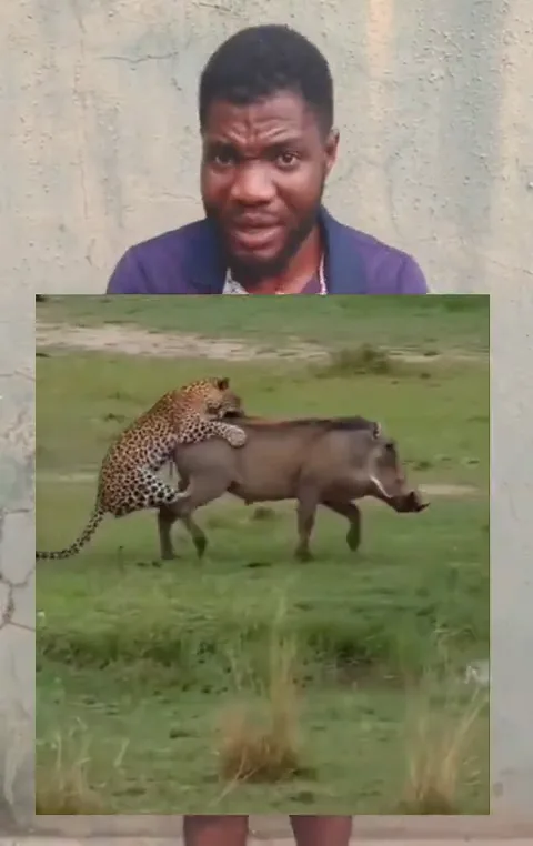 videoframe_1006.png
