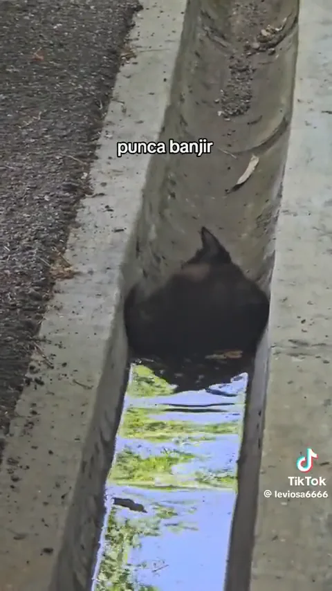 videoframe_6146.png