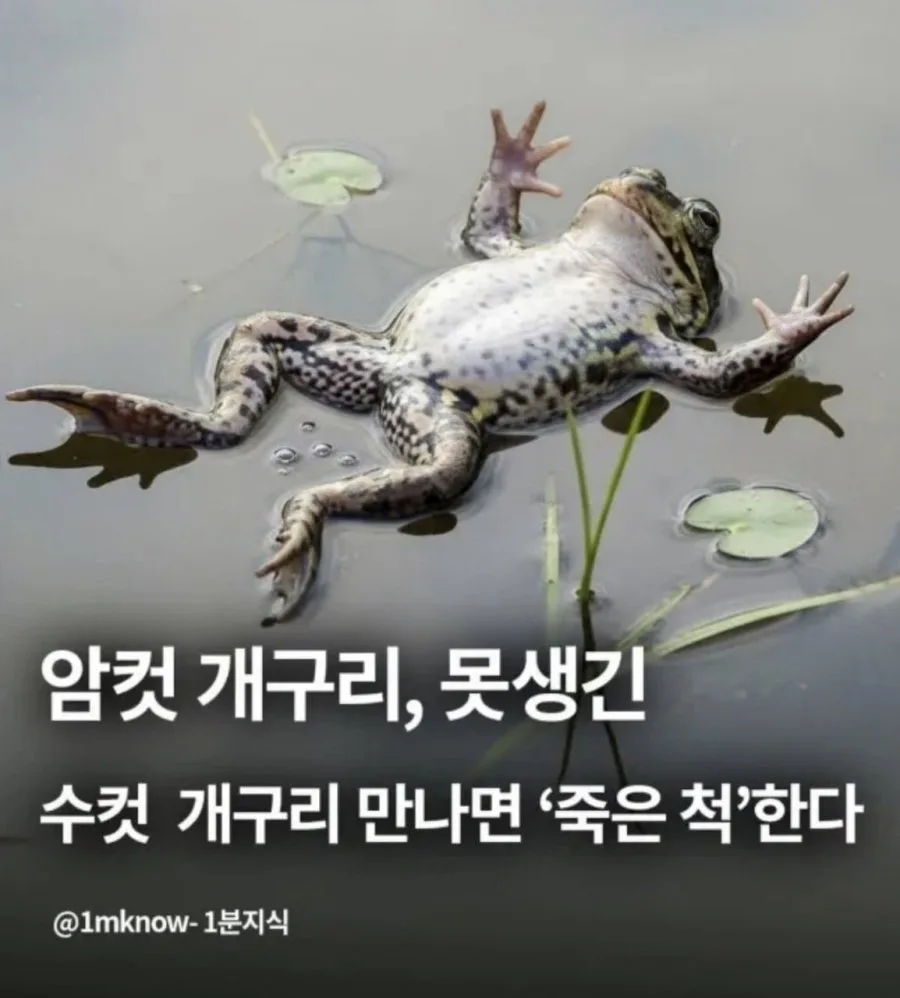 900w_20260511083355_WajsAlFKW2.jpg