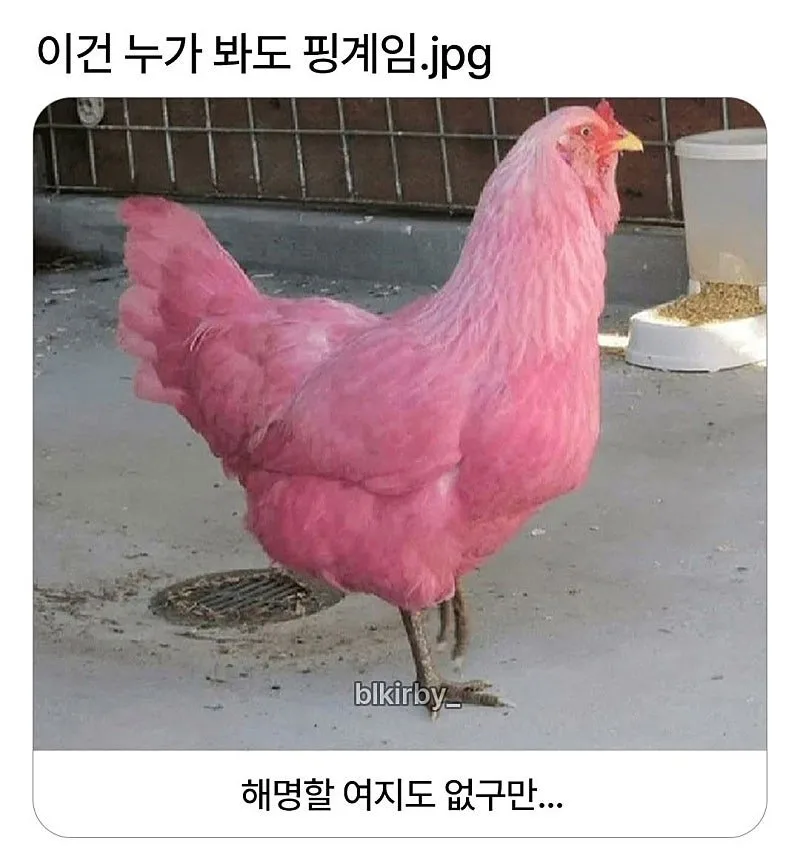 20260405231605_SSVZoMjLiU.jpg