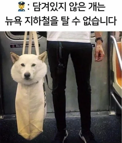 20260321053000_DZ2mrXFXfY.jpeg