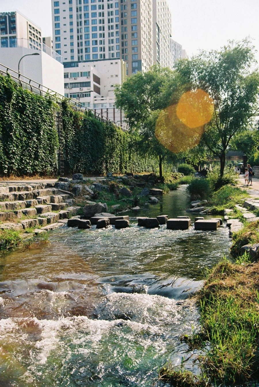 900w_20260616192806_m6c4BjHfny.jpg
