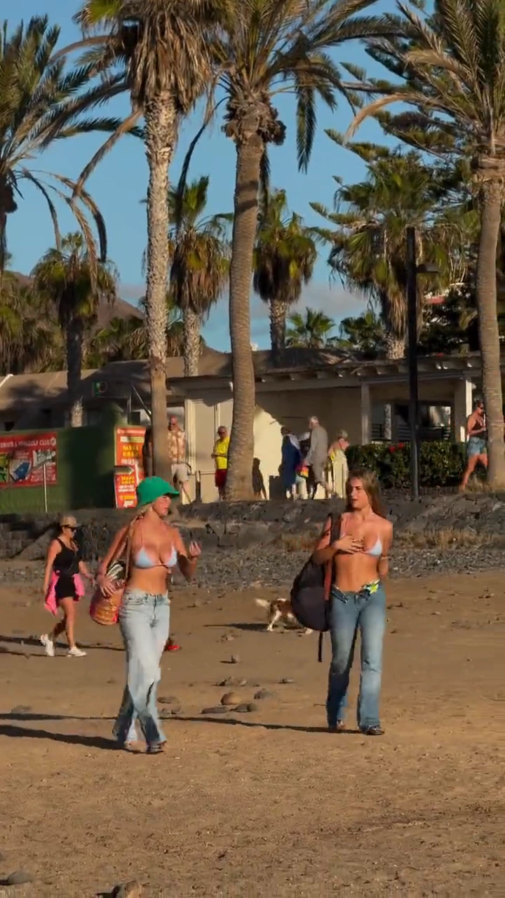 videoframe_4208.png