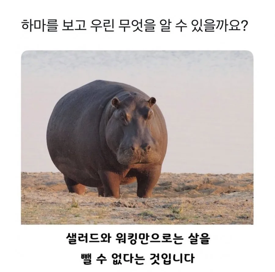 900w_20260425141331_XNnVFPB8gg.png