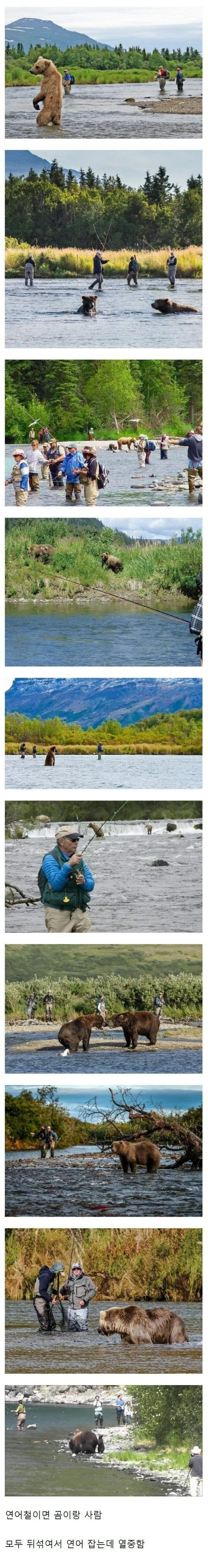 20260427064034_AUZRsCjpnL.jpeg