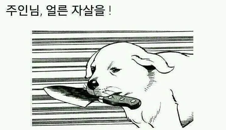 20260316094219_hTXQyrY4qh.jpg