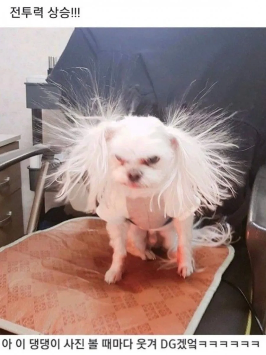 900w_20260326234603_7CaeKhySjn.jpeg