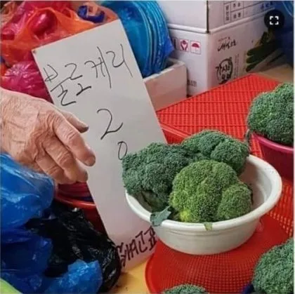 20260315222935_PBdUzRPsNS.jpg