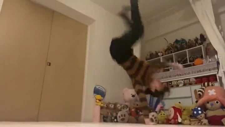 videoframe_11042.png