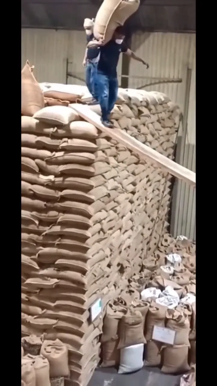 videoframe_10992.png