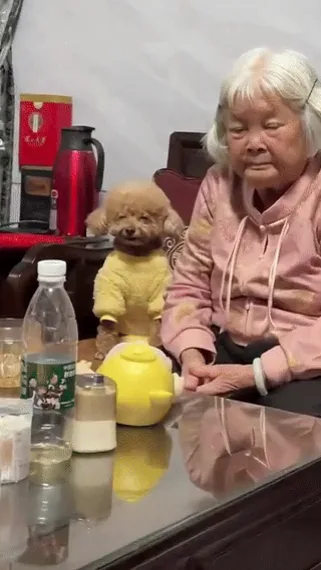 videoframe_1202.png