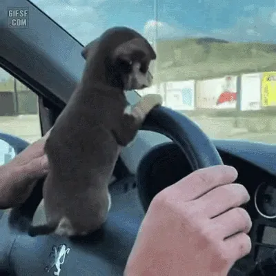 videoframe_6732.png