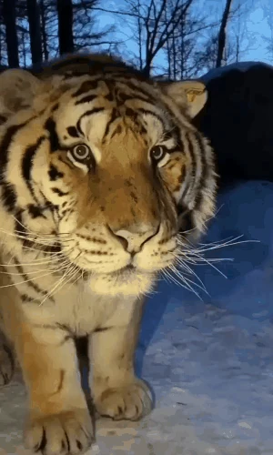 20260621073059_U0q7sBVpUC.gif