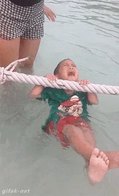 videoframe_2006.png