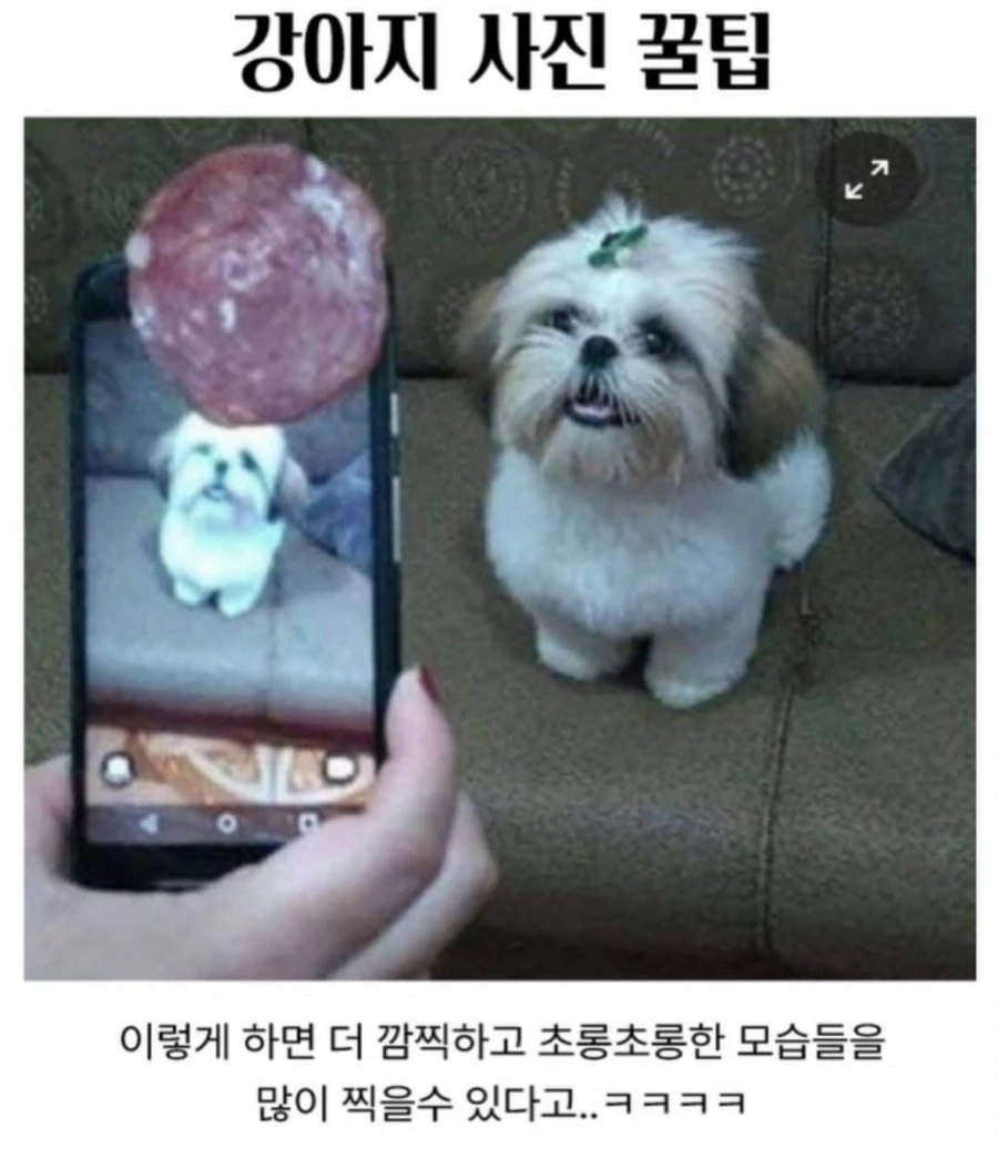 900w_20260710210952_shmSYnBIdX.png