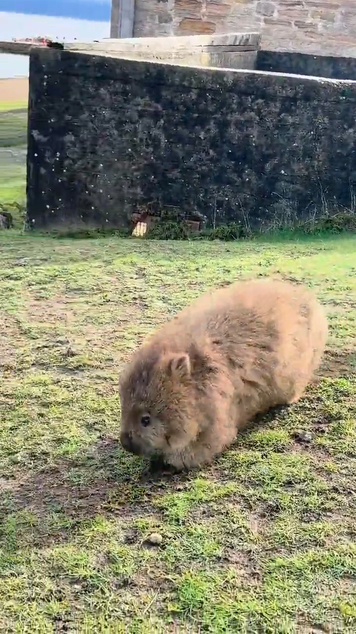 videoframe_6674.png