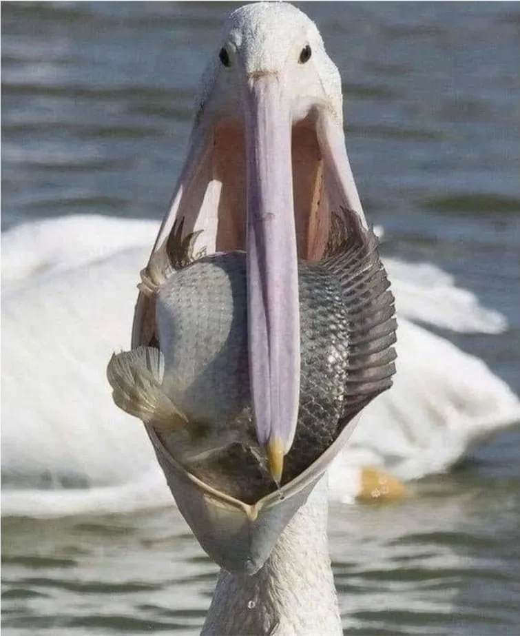 20260308023114_JX0YCWBLgn.png