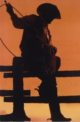 20260622082249_yGYTvlPthl.png