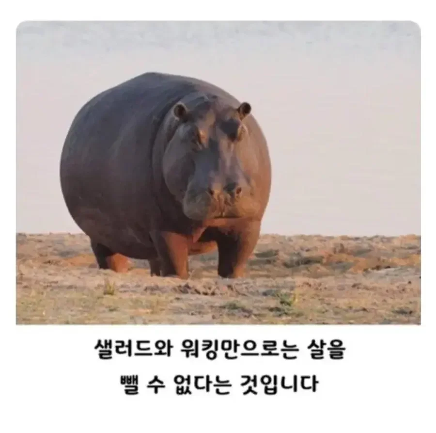20260411232756_JRbXk5I8WX.webp