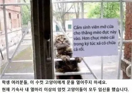 20260407043026_stp8Y2Gi7l.png