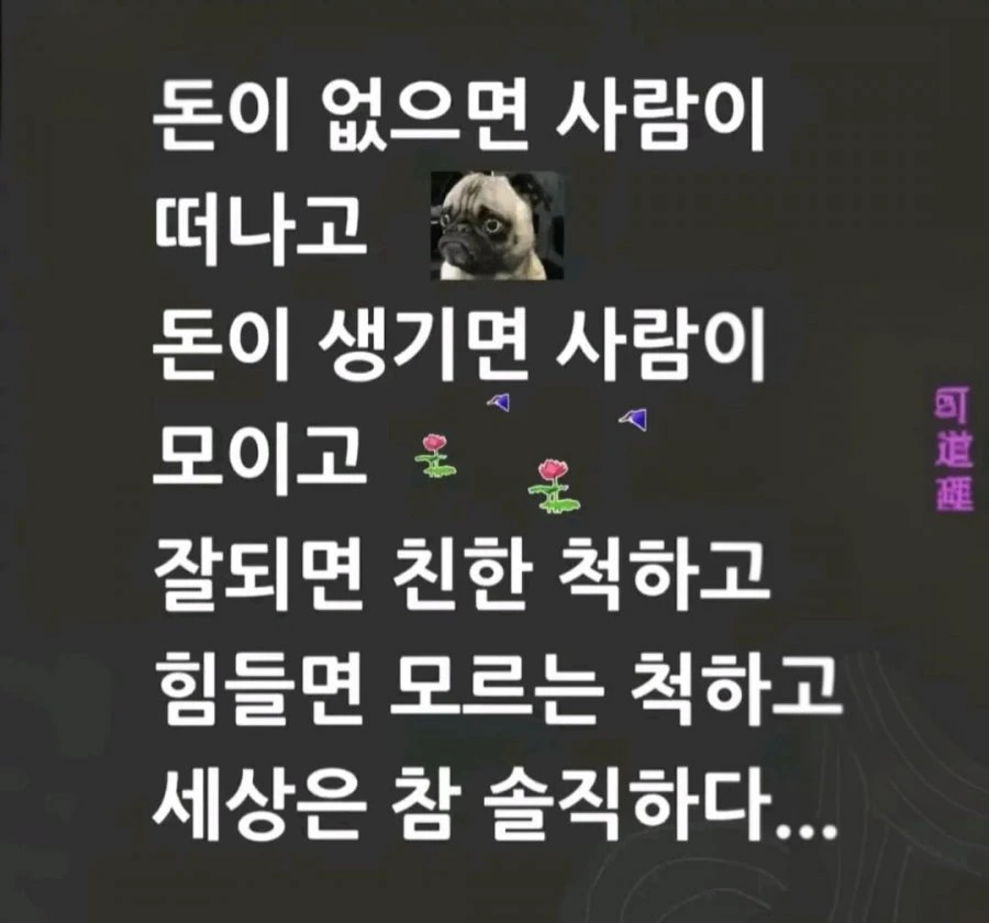 900w_20260709095147_T72ezldSsC.jpg