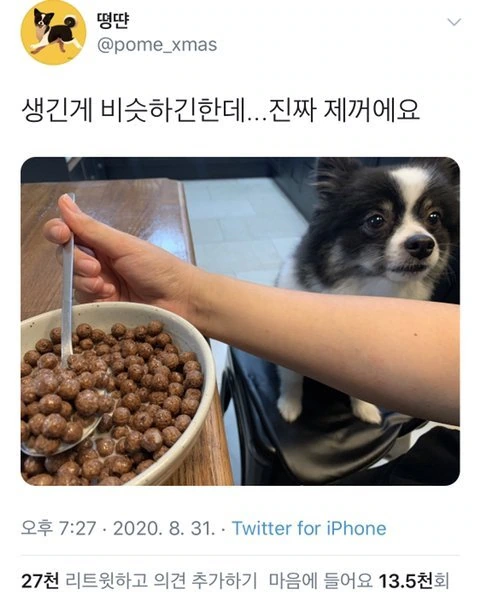 20260625204844_p5XZQWNpWA.jpeg