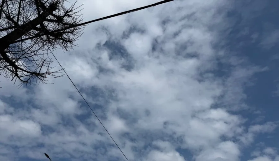 900w_20260331101727_eh6q7mw976.jpeg
