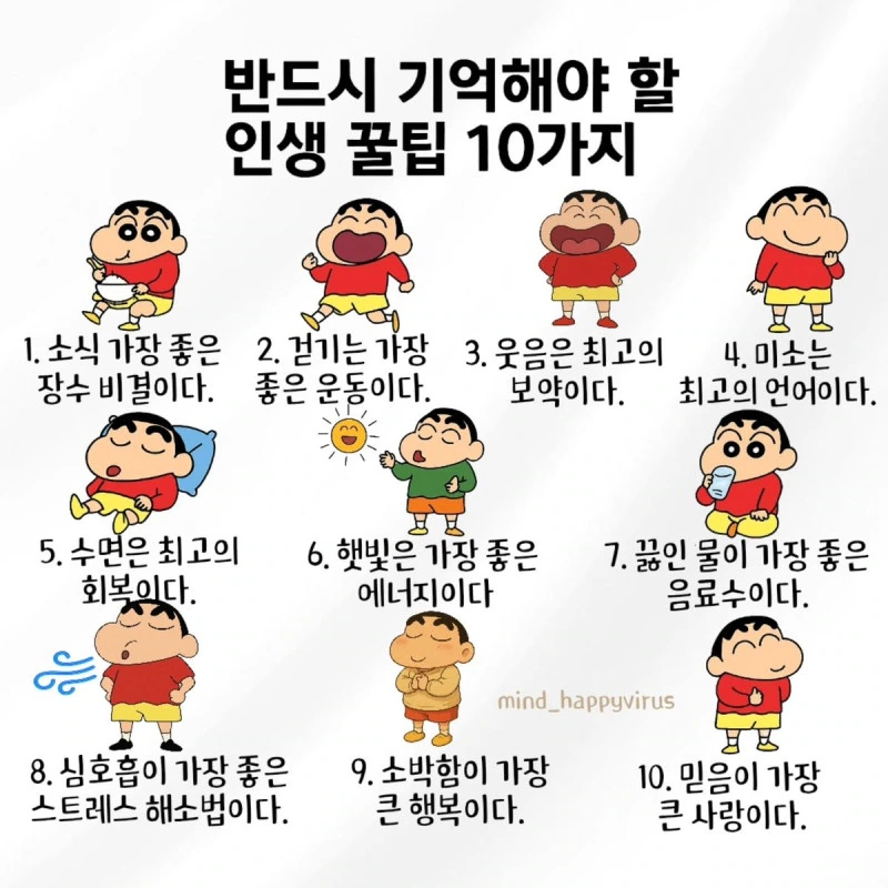 thumb-56c4000e413f1e908185f38c62da67fd_xqhHOBeA_b2b188c3206ae4e4a9c0d89e8c9f98adac4ae055_800x800.jpg