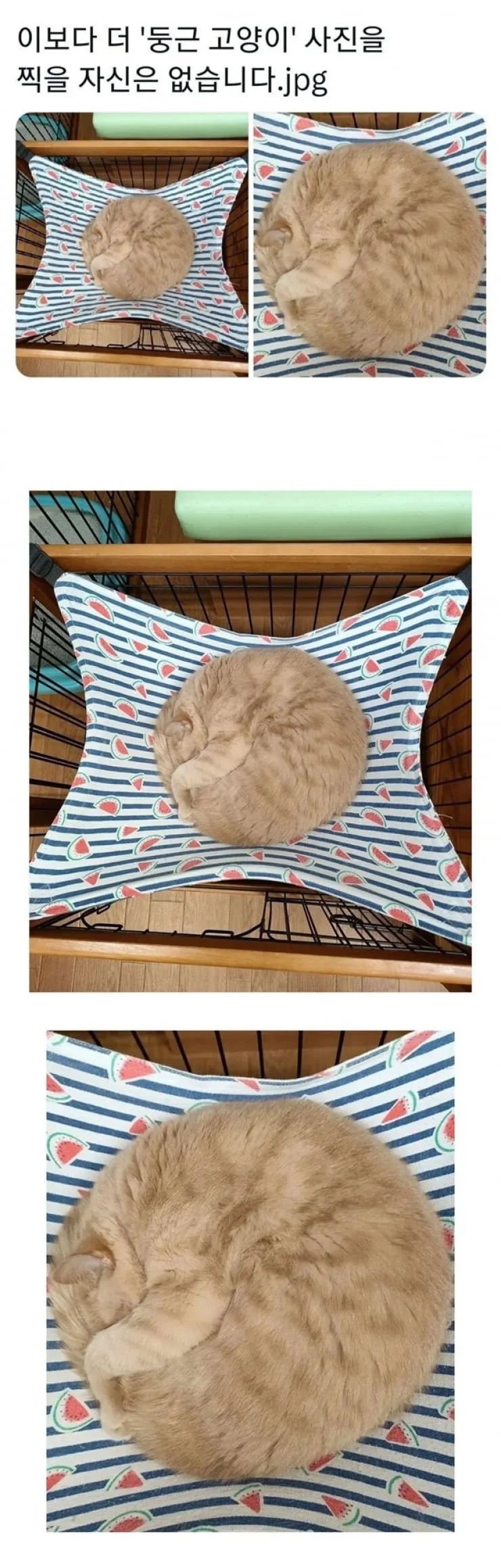 20260306061119_hFCE22nNLT.png