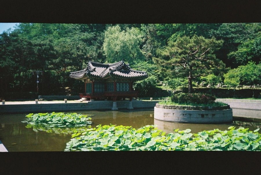 900w_20260607172845_rKETEA5qYP.jpg