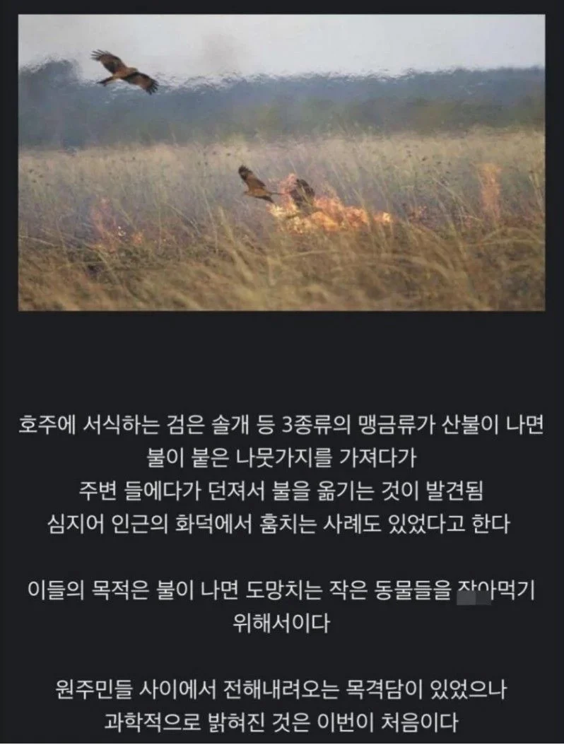 900w_20260301060936_yqDImdZGEG.webp
