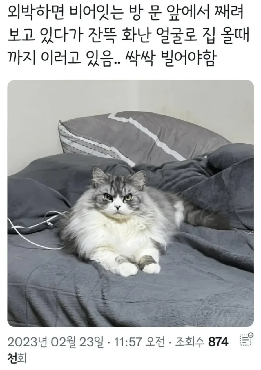 900w_20260612224253_JkrQTRDhjC.webp