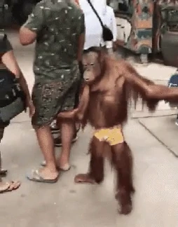 videoframe_2166.png